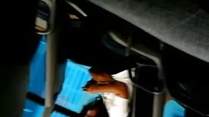 BJ සහ කොටළුවා සමඟ ඔබේ ණය ගෙවීම