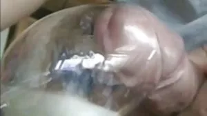 ජෙසී ජූනි