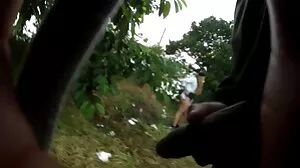 ඇල්ල රීස්