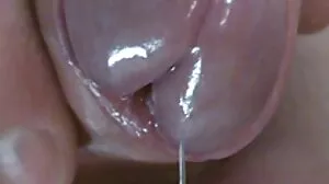 කටාන කොම්බට්
