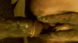 ලොකු කළු කුකුළා ඇගේ ඩිස්නිලන්තයයි