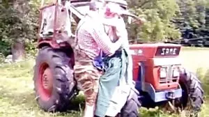 බැල්ලිය ඇගේ සුළු සහෝදරයාට තදින් කෙලෙව්වා